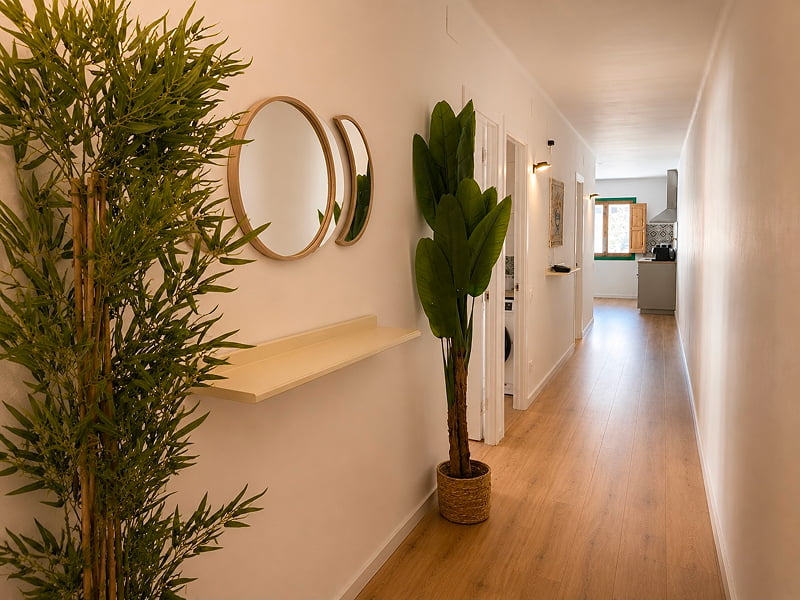 Pasillo amplio con decoración moderna, plantas y espejos.