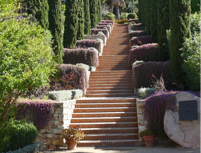 Escalinata rodeada de vegetación